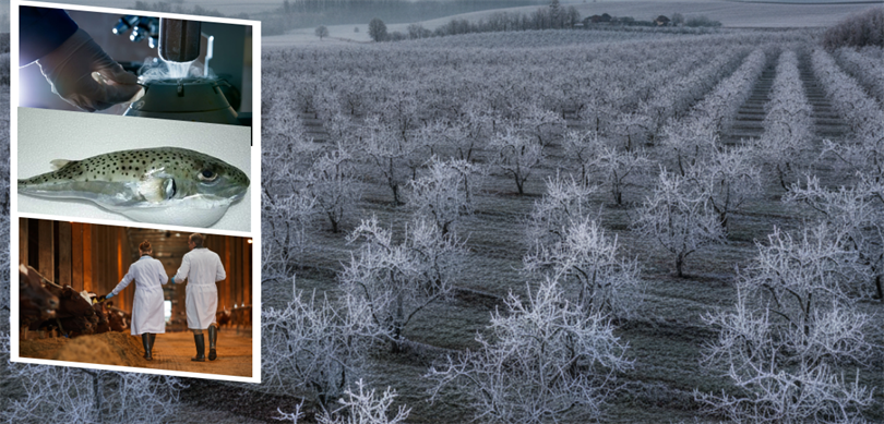 Desteklemeler Ödendi!